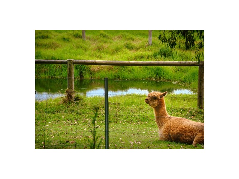 5 Horseford Road, Margaret River WA 6285