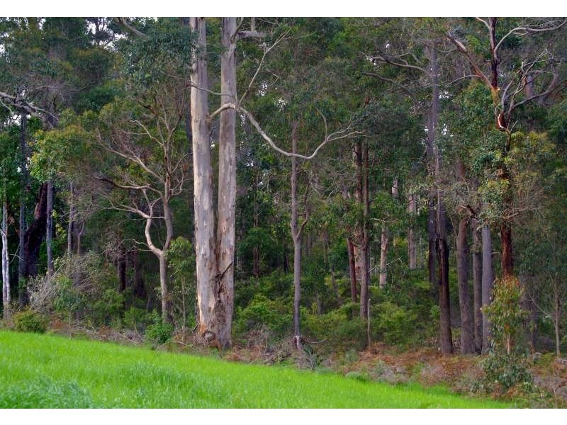 475 Davis Road, Witchcliffe WA 6286