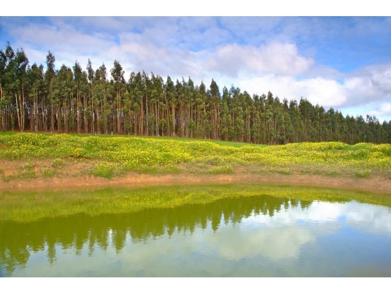 475 Davis Road, Witchcliffe WA 6286