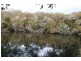 Lot 403 McLeod Creek Road, Karridale, Margaret River WA 6285