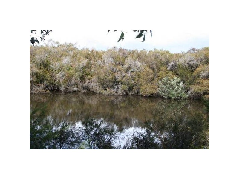 Lot 403 McLeod Creek Road, Karridale, Margaret River WA 6285