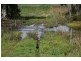 Lot 403 McLeod Creek Road, Karridale, Margaret River WA 6285