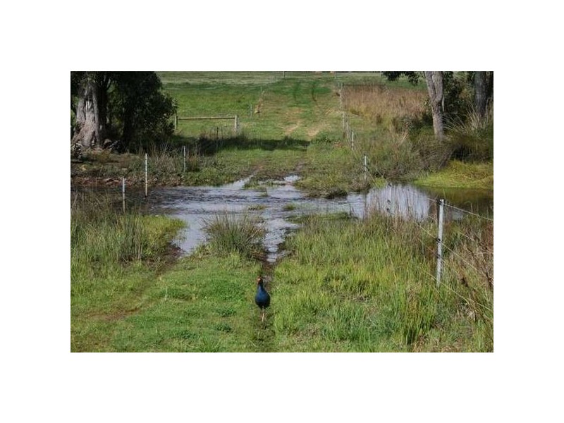 Lot 403 McLeod Creek Road, Karridale, Margaret River WA 6285