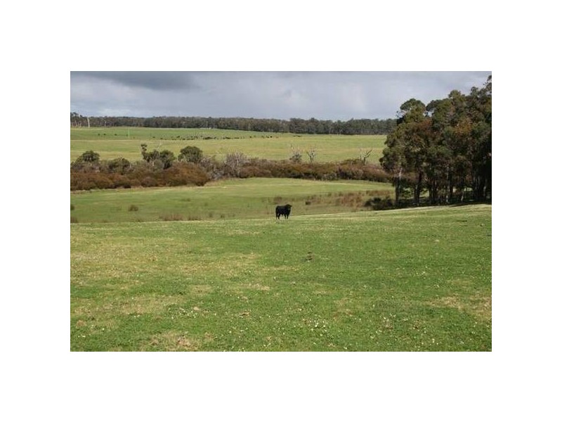 Lot 403 McLeod Creek Road, Karridale, Margaret River WA 6285