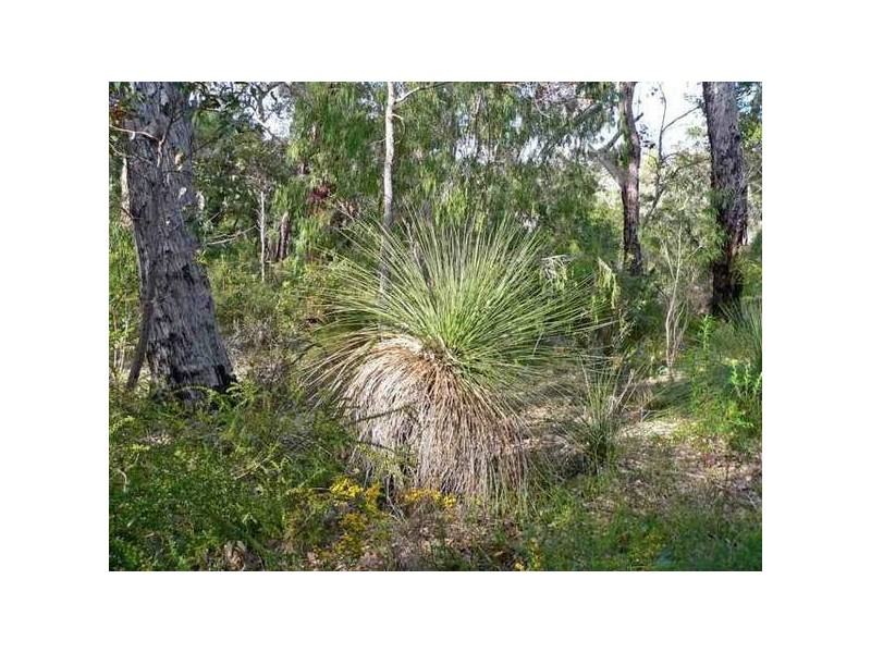 5 Dunkley Close, Molloy Island, Margaret River WA 6285