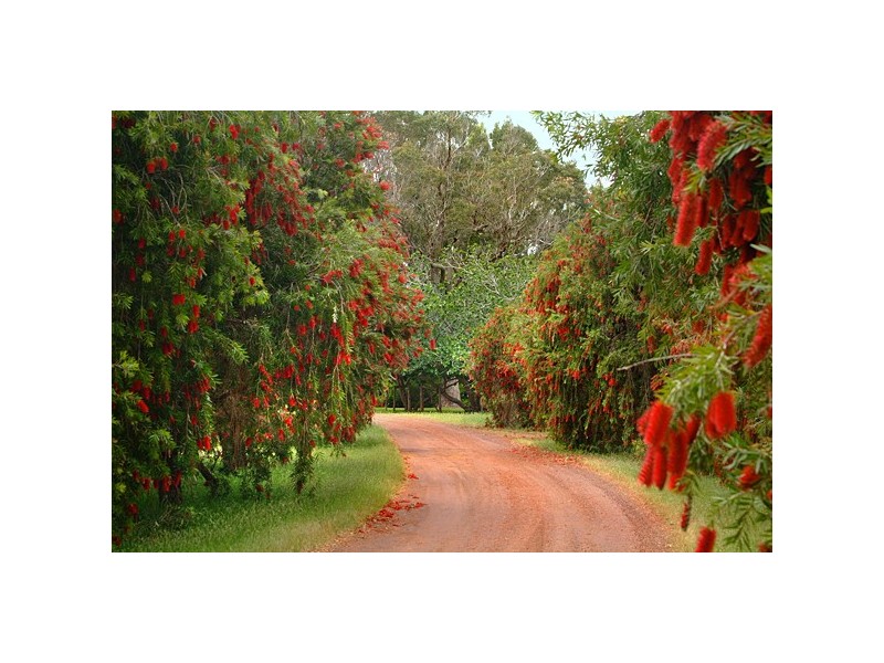 179 Boodjidup Road, Margaret River WA 6285