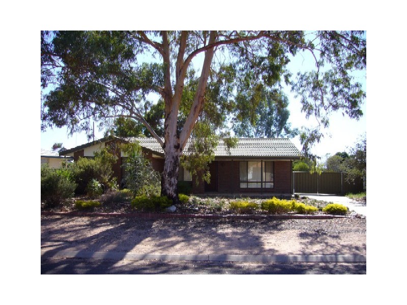 17 Burns Street, Waikerie SA 5330