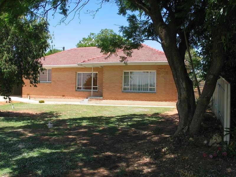 3 Virgo Road, Waikerie SA 5330