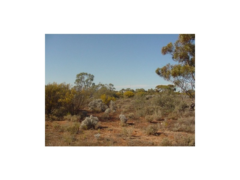 Sect 344 Hundred of Eba, Morgan SA 5320