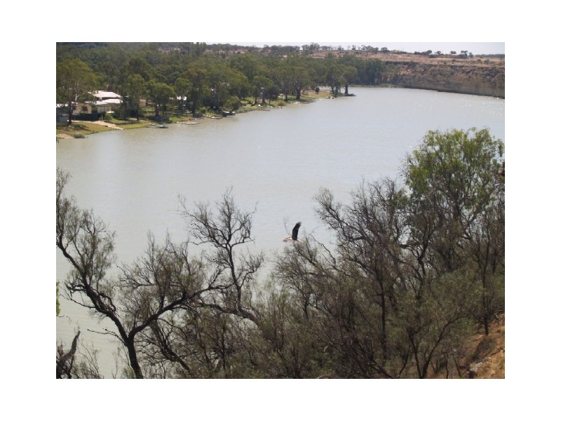 Lot 2 Hundred of Cadell, Murbko SA 5320