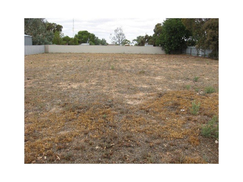 18 Fifth Street, Morgan SA 5320