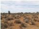 Sect 304 Hundred of Eba, Morgan SA 5320