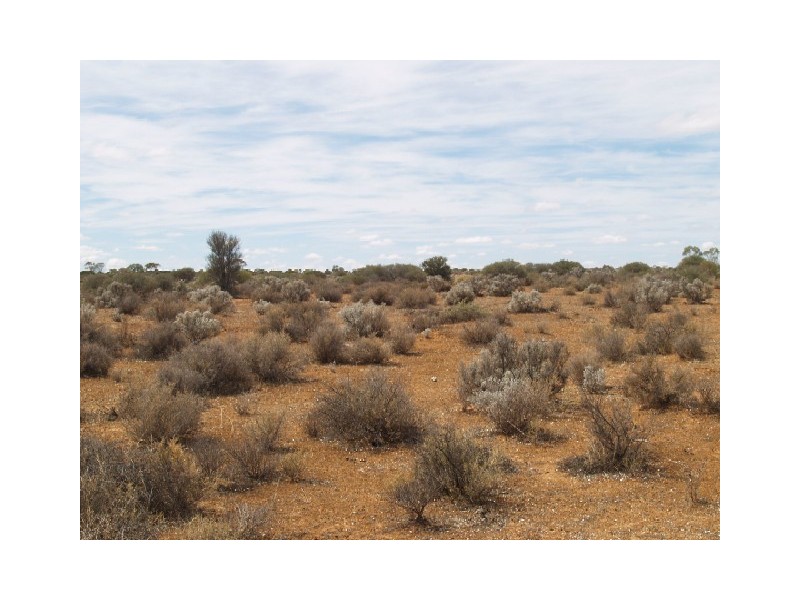 Sect 304 Hundred of Eba, Morgan SA 5320
