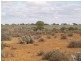 Sect 304 Hundred of Eba, Morgan SA 5320