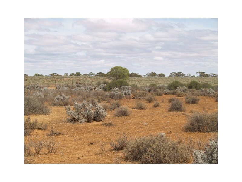 Sect 304 Hundred of Eba, Morgan SA 5320