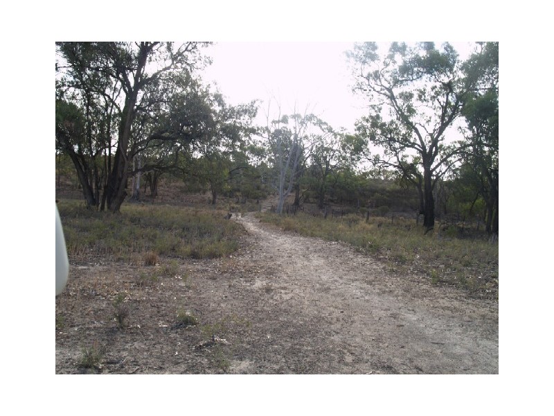 Lot 5 Wombats Rest Road, Pelican Point, Morgan SA 5320