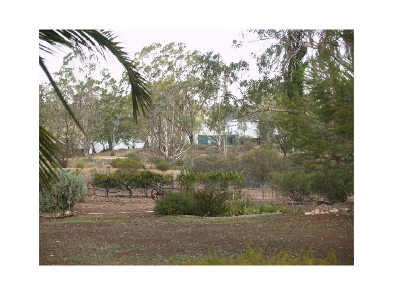 Lot 5 Wombats Rest Road, Pelican Point, Morgan SA 5320