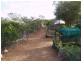 Lot 5 Wombats Rest Road, Pelican Point, Morgan SA 5320