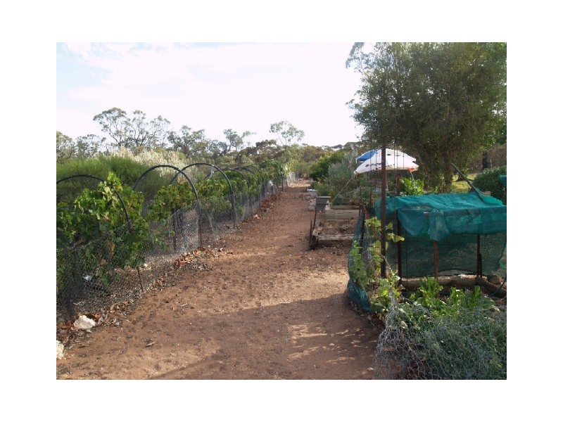 Lot 5 Wombats Rest Road, Pelican Point, Morgan SA 5320