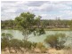 Lot 274 Ramco Road, Ramco via, Waikerie SA 5330