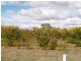 Sect 183 Main Cadell Road, Cadell SA 5321