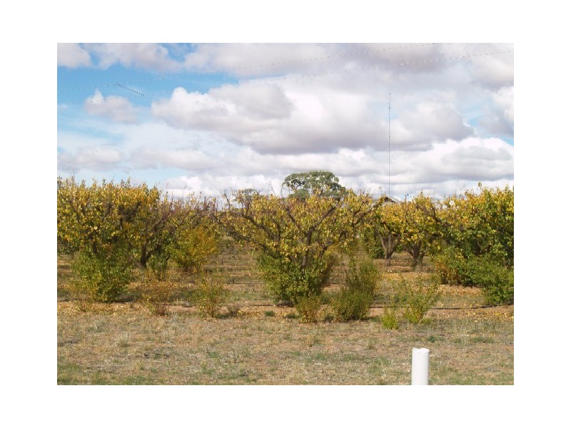 Sect 183 Main Cadell Road, Cadell SA 5321