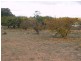 Sect 183 Main Cadell Road, Cadell SA 5321