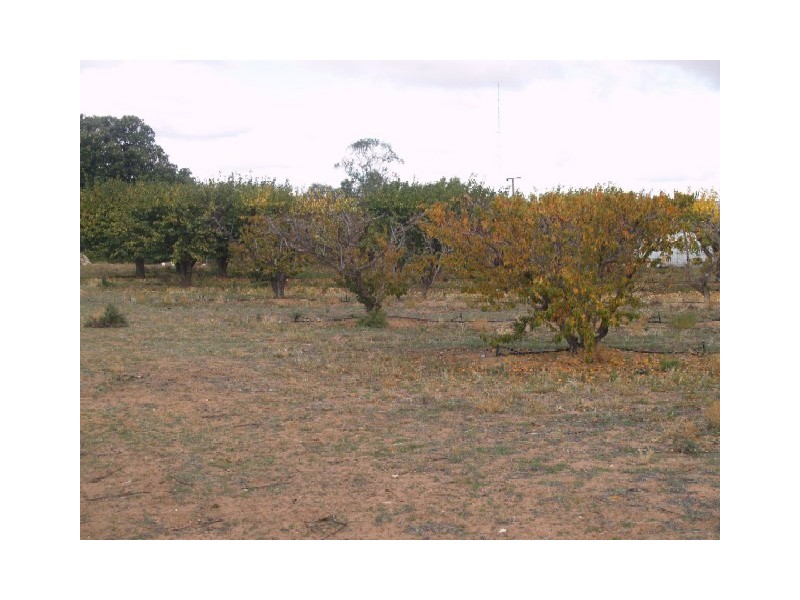 Sect 183 Main Cadell Road, Cadell SA 5321