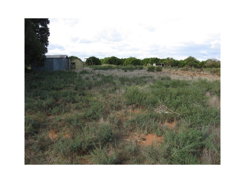 Lot 193 Thompson Road, Sunlands via, Waikerie SA 5330