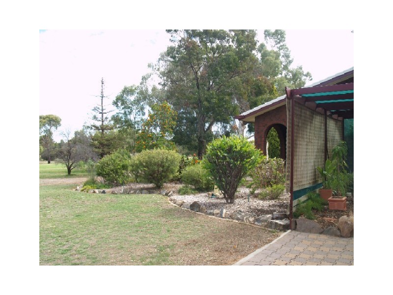 9 Fairway Avenue, Barmera SA 5345