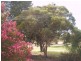 9 Fairway Avenue, Barmera SA 5345
