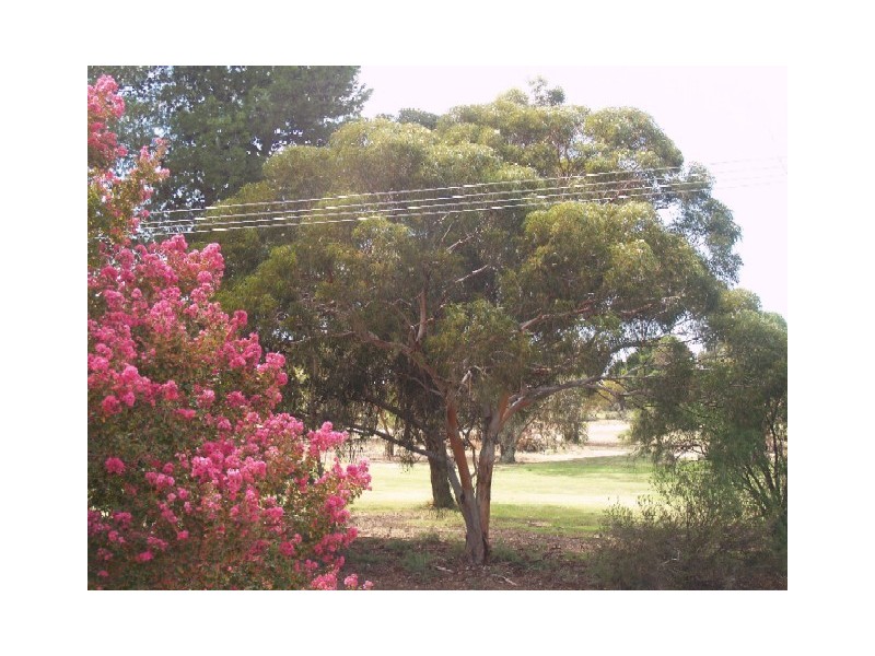 9 Fairway Avenue, Barmera SA 5345