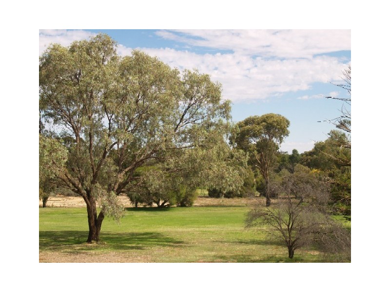 9 Fairway Avenue, Barmera SA 5345