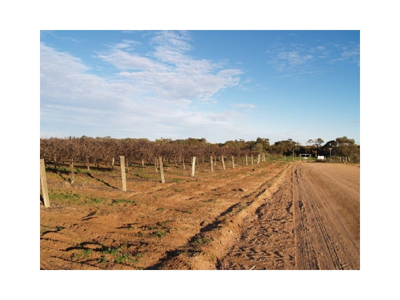 Lot 95&96 Dendow Road, Golden Heights, Waikerie SA 5330