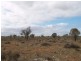 Lot 36 Hundred of Skurray, Blanchetown SA 5357