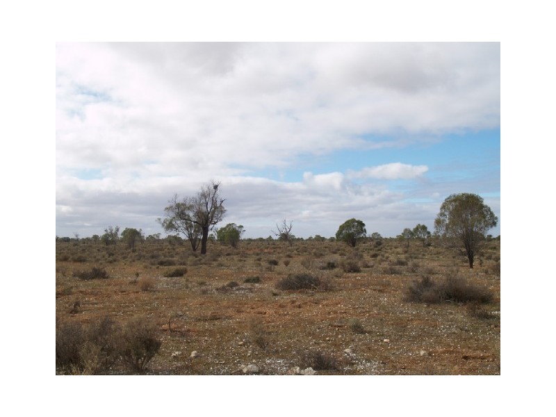 Lot 36 Hundred of Skurray, Blanchetown SA 5357