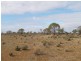 Lot 36 Hundred of Skurray, Blanchetown SA 5357
