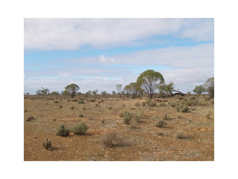 Lot 36 Hundred of Skurray, Blanchetown SA 5357