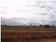 Lot 36 Hundred of Skurray, Blanchetown SA 5357