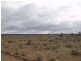 Lot 36 Hundred of Skurray, Blanchetown SA 5357