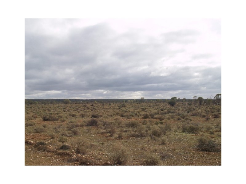 Lot 36 Hundred of Skurray, Blanchetown SA 5357