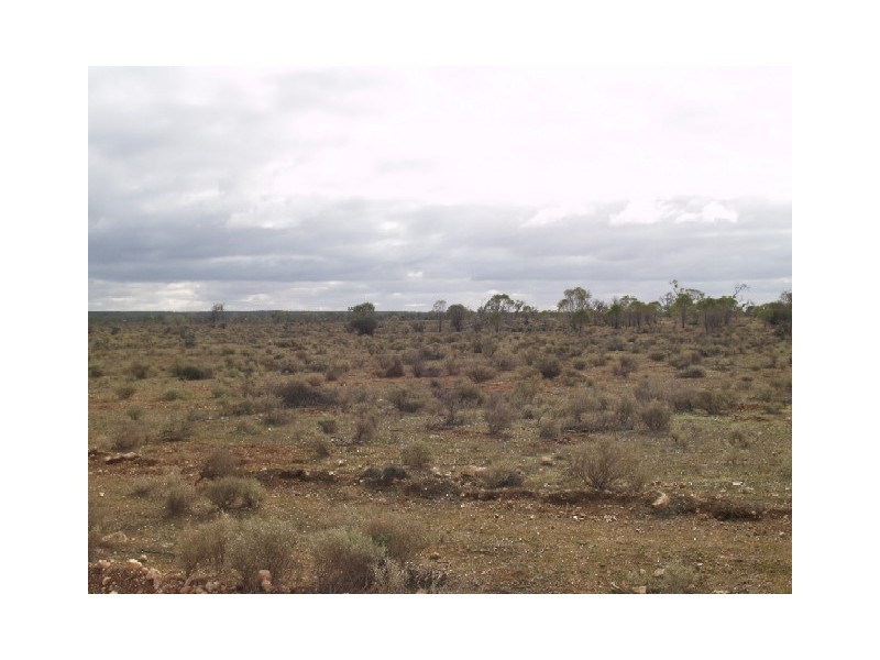 Lot 36 Hundred of Skurray, Blanchetown SA 5357