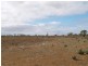 Lot 36 Hundred of Skurray, Blanchetown SA 5357