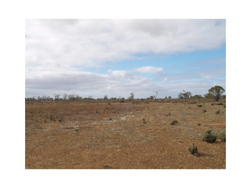 Lot 36 Hundred of Skurray, Blanchetown SA 5357