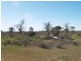 Lot 36 Hundred of Skurray, Blanchetown SA 5357