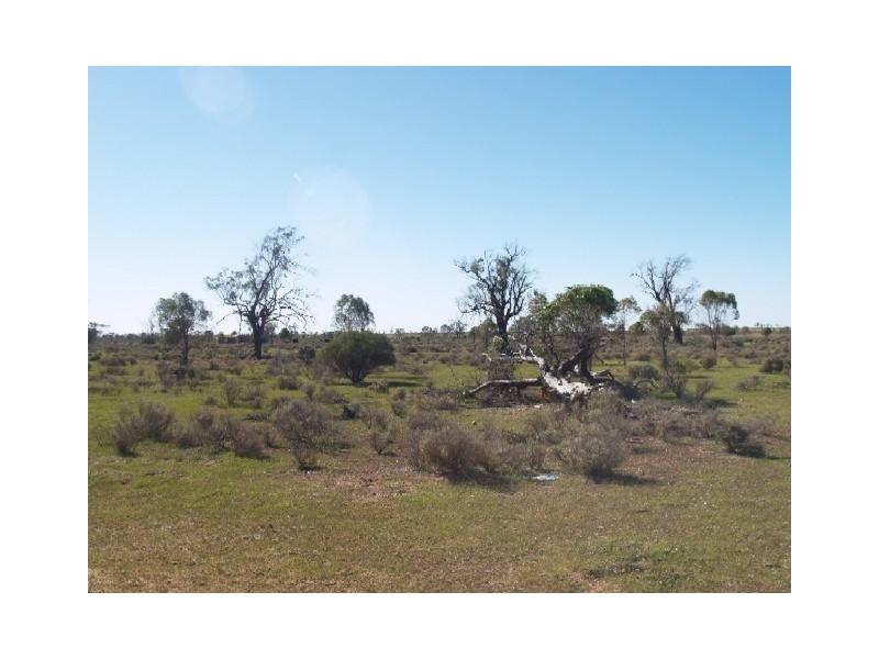 Lot 36 Hundred of Skurray, Blanchetown SA 5357