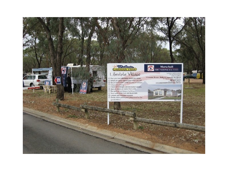 49 Peake Terrace, Waikerie SA 5330