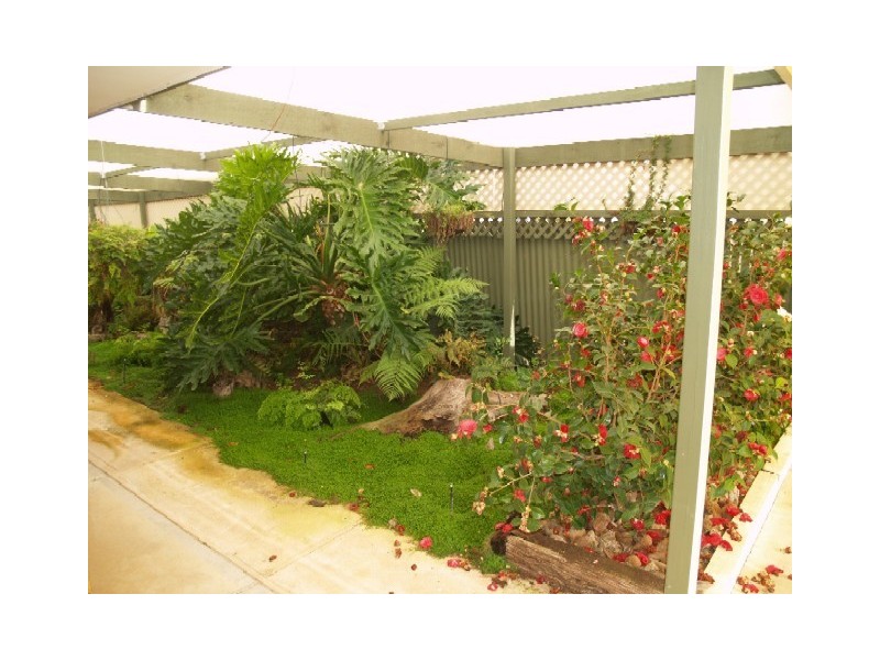 3 Sixth Street, Morgan SA 5320
