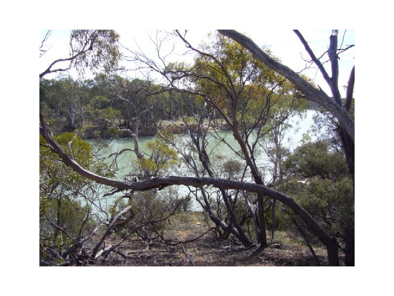 Lot 11 Hundred of Cadell, Morgan SA 5320