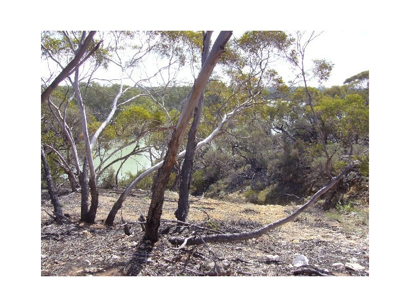 Lot 11 Hundred of Cadell, Morgan SA 5320